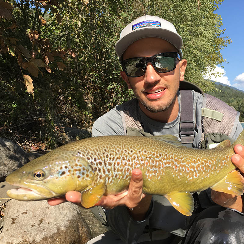Lavezzinifly - Nymph - Jig Brown Orange
