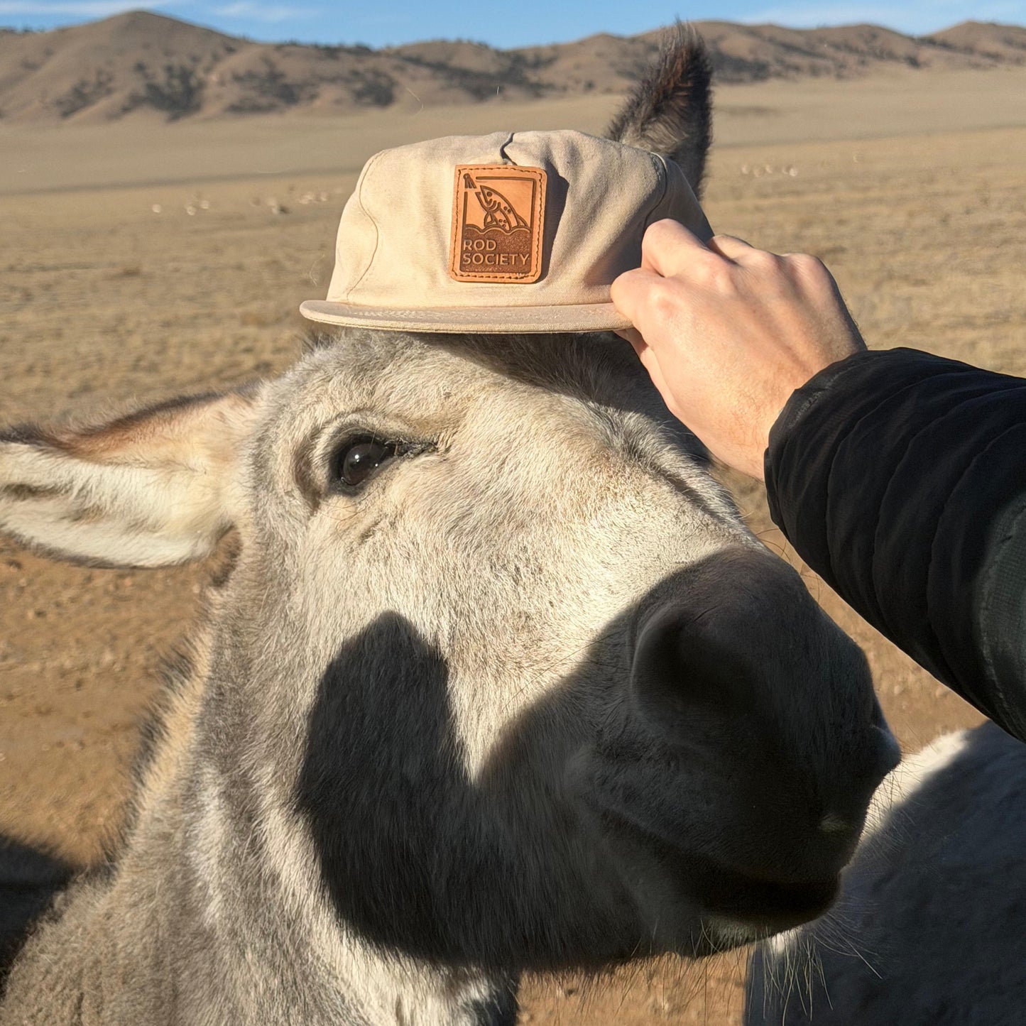 Rod Society Field Cap