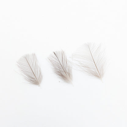 Tommi-Fly Wild Duck Cul de Canard CDC